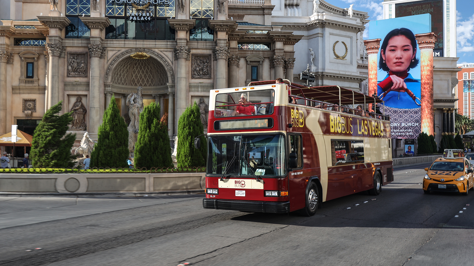 Big Bus Tours- Las Vegas Discovery